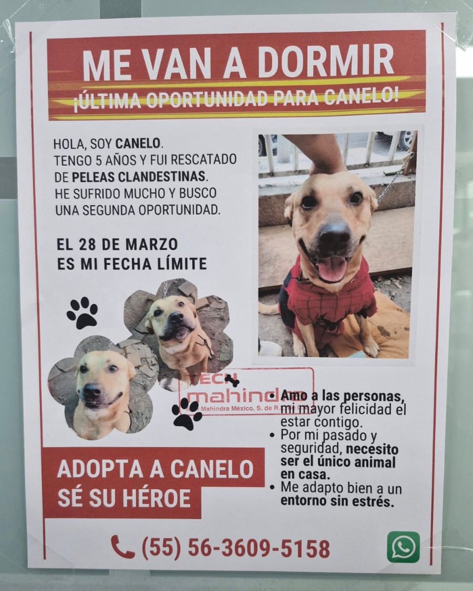 Fernanda Tapia‏ tweet media