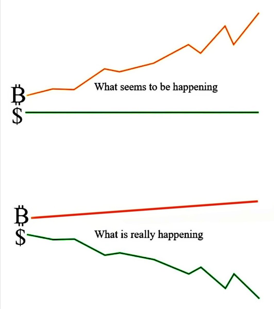 ₿TC Strategist ⚡️ tweet media