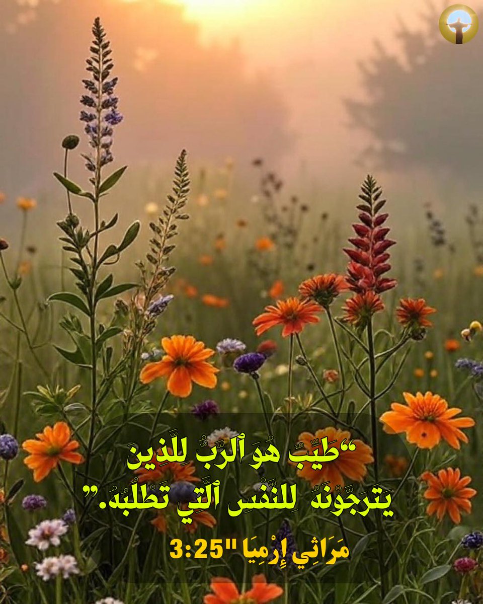 زكريا استاورو  Zakaria Estawro tweet media