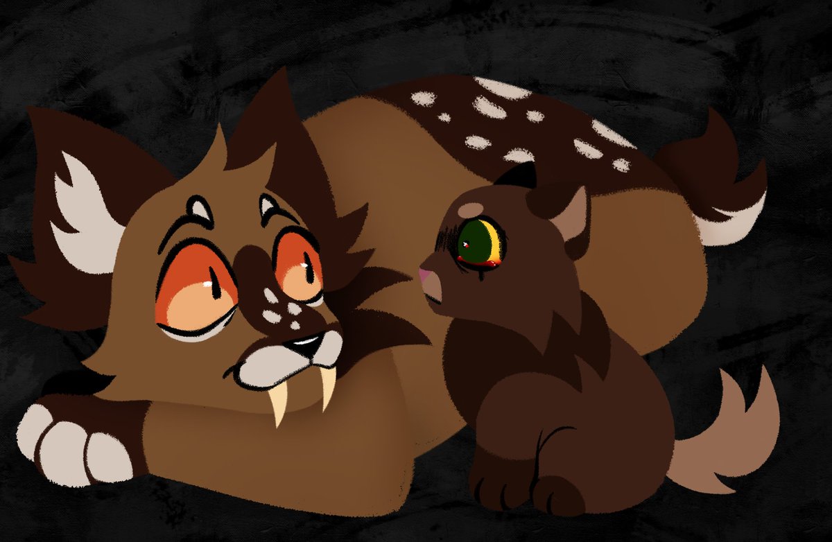 cody fab 🐟 tweet media