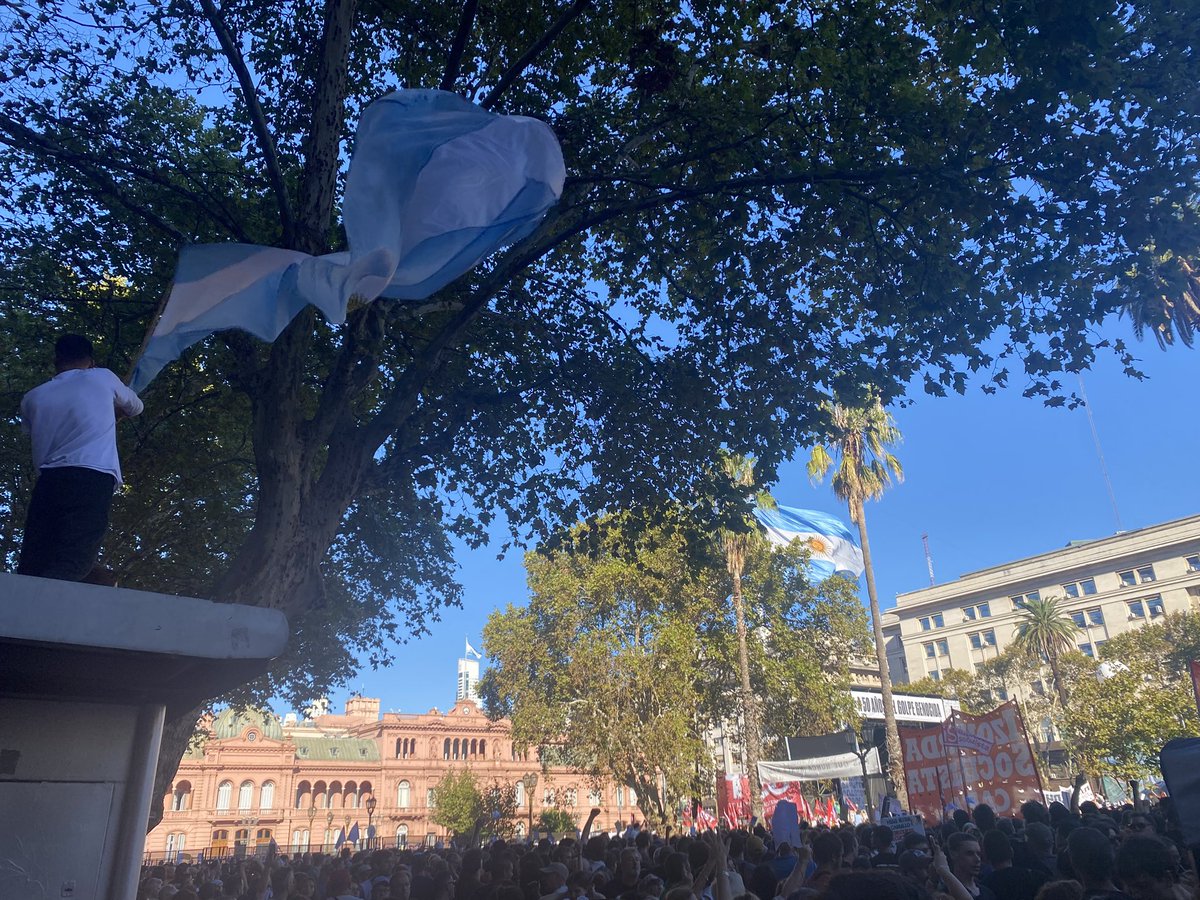 Julieta Dussel 💚 tweet media