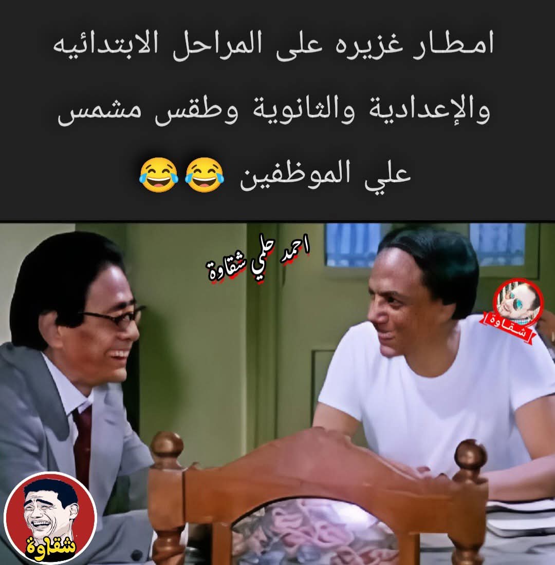 ألو أنا القطة tweet media