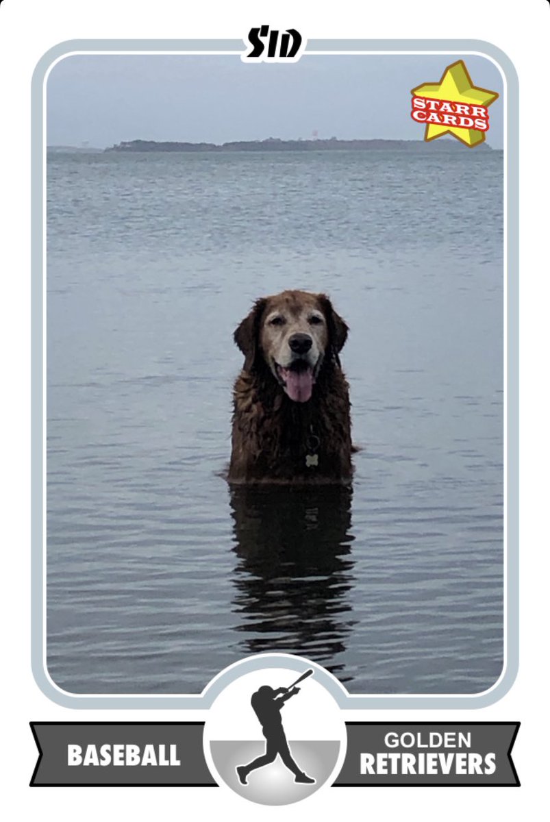 MyCardCollecti1's tweet photo. @barrylongii Easy choice https://t.co/dMLMHdUCQG