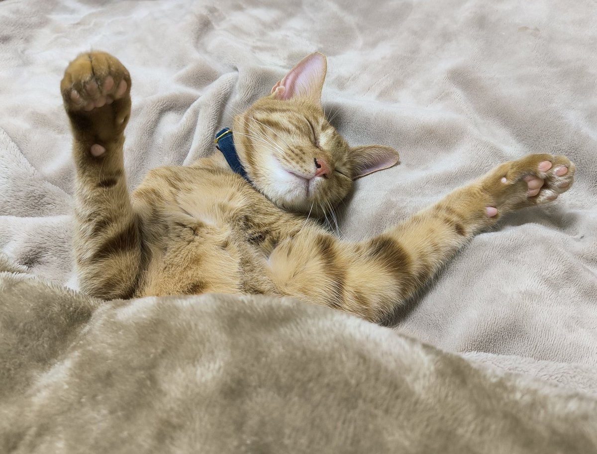 まーくん@双極性障害 tweet media