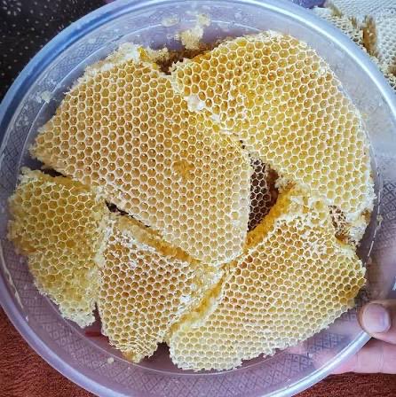 عبيد العوني tweet media