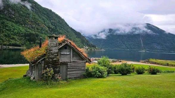 محمد العنقري tweet media