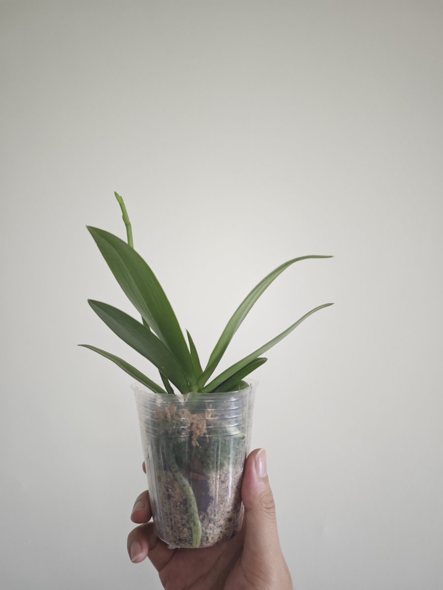 Remzi Görler tweet media