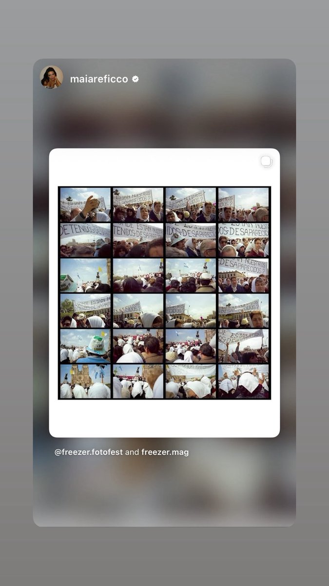 Maia Reficco Updates tweet media