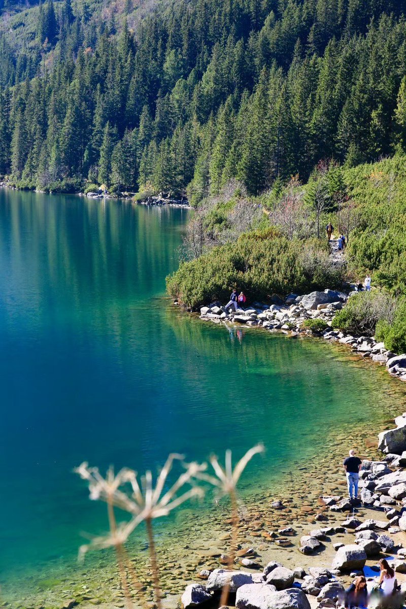 tylia jazmin paris tweet media