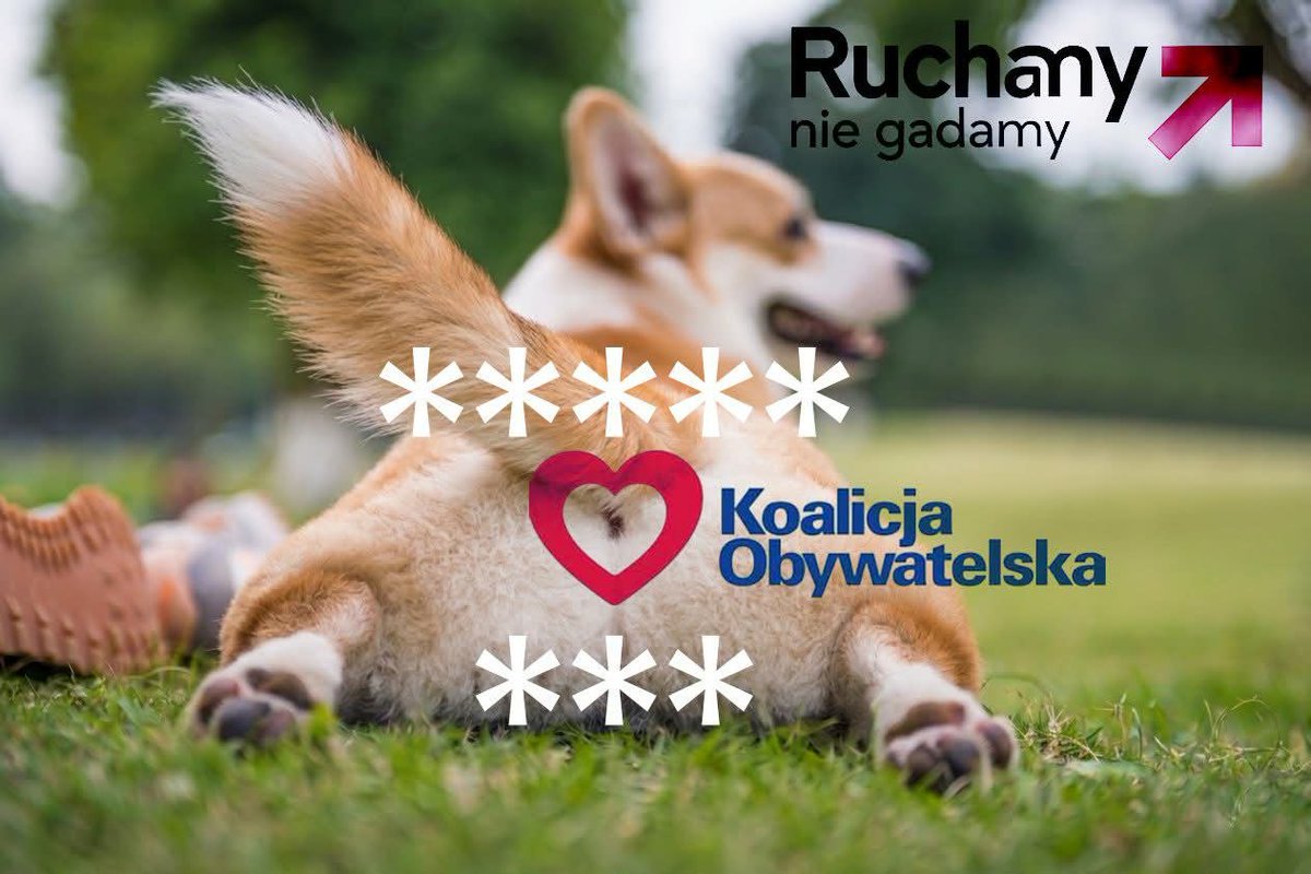 Anita 100%🇵🇱🧯 tweet media