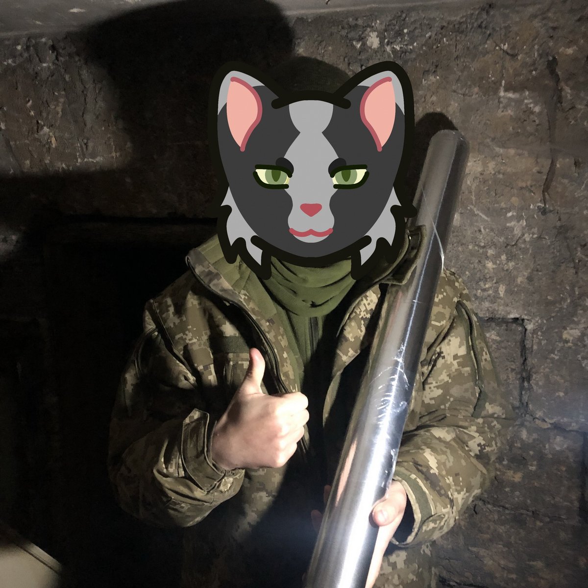 Coast of Life tweet media