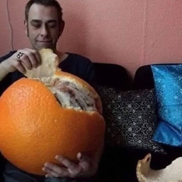 ᴛʜᴏʀɪɴ ᴏᴀᴋᴇɴsʜɪᴇʟᴅ ᴏғ ՏᕼTᗯT ꪔ̤̮ tweet media