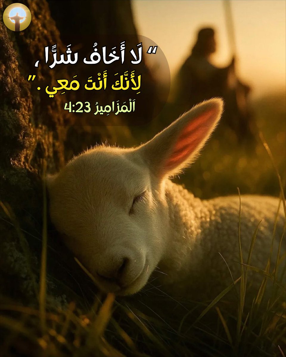 زكريا استاورو  Zakaria Estawro tweet media