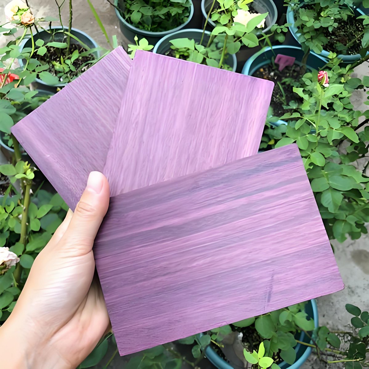 Victoria Scearcy tweet media