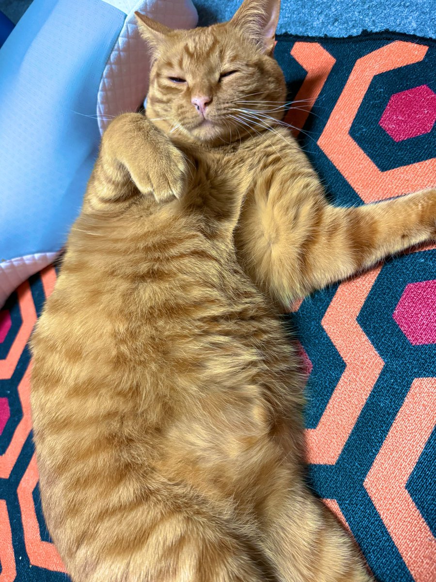 4/29.30都内の龍崎飛鳥 tweet media