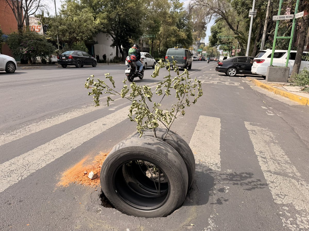 Bicimanager tweet media