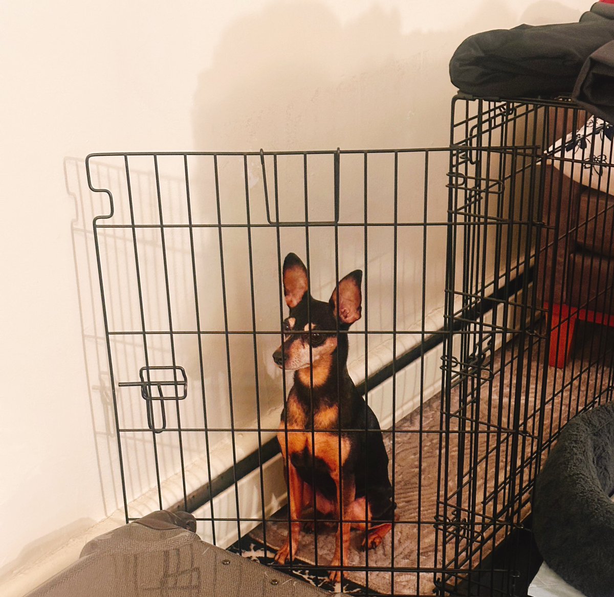 Tana🤡🇨🇦 tweet media