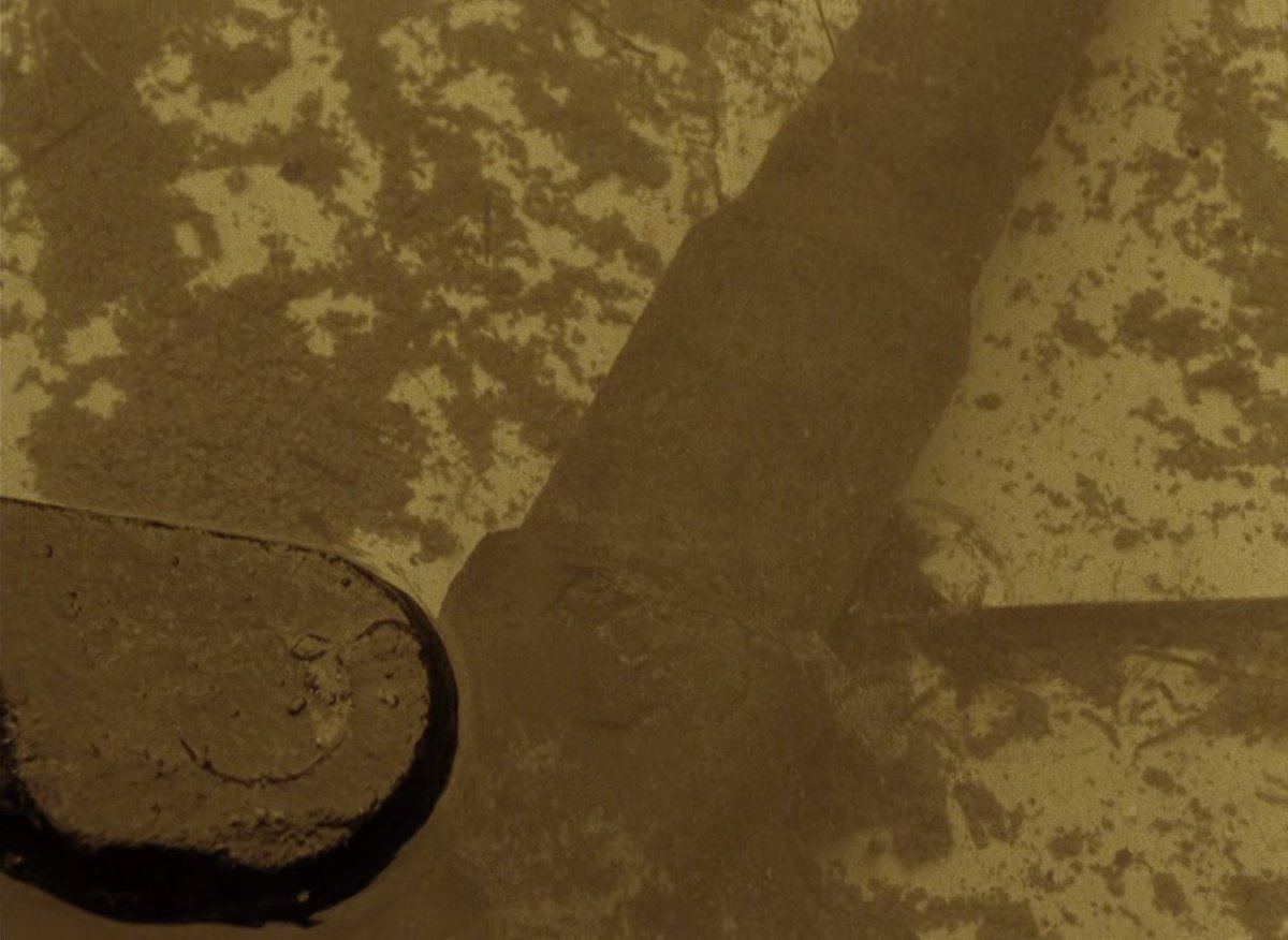 Tarkovsky Frames tweet media