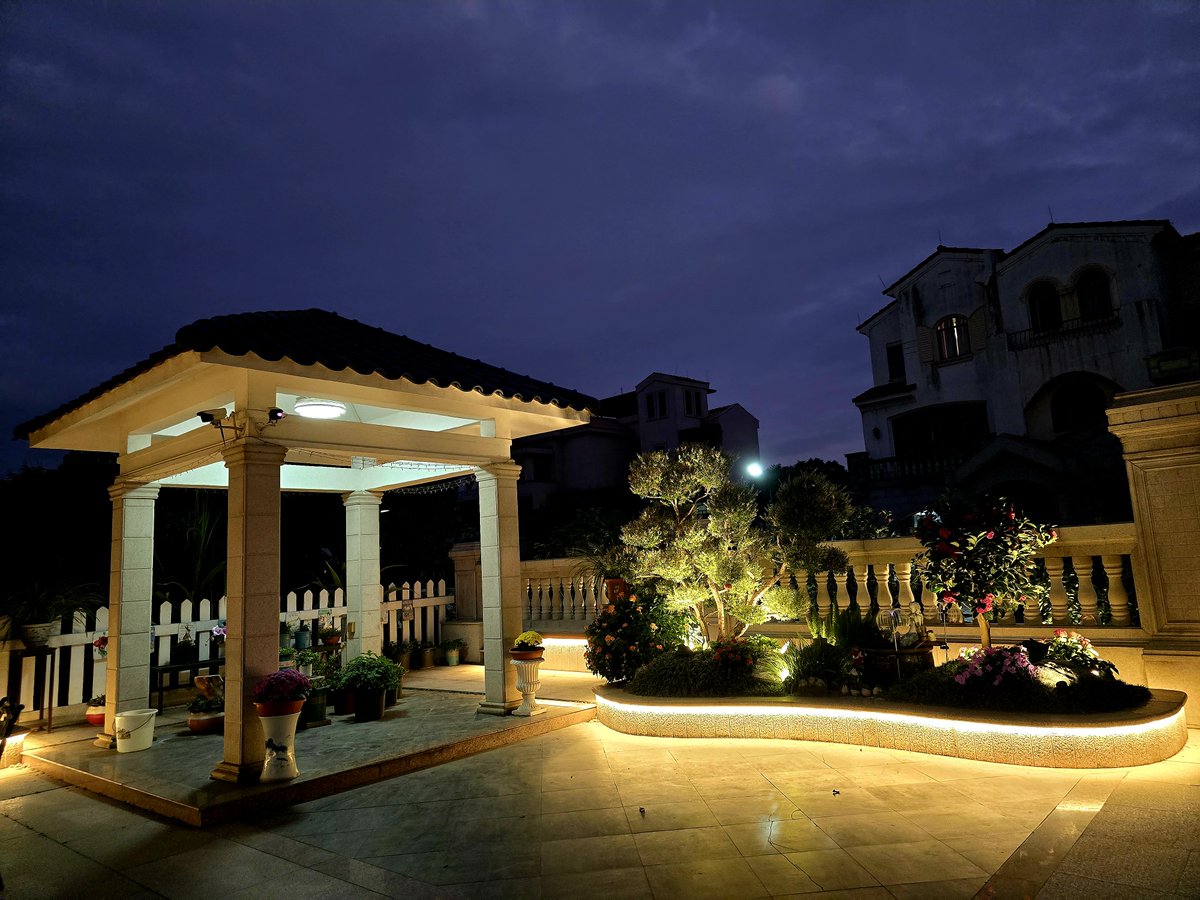 Hayley Morrison tweet media