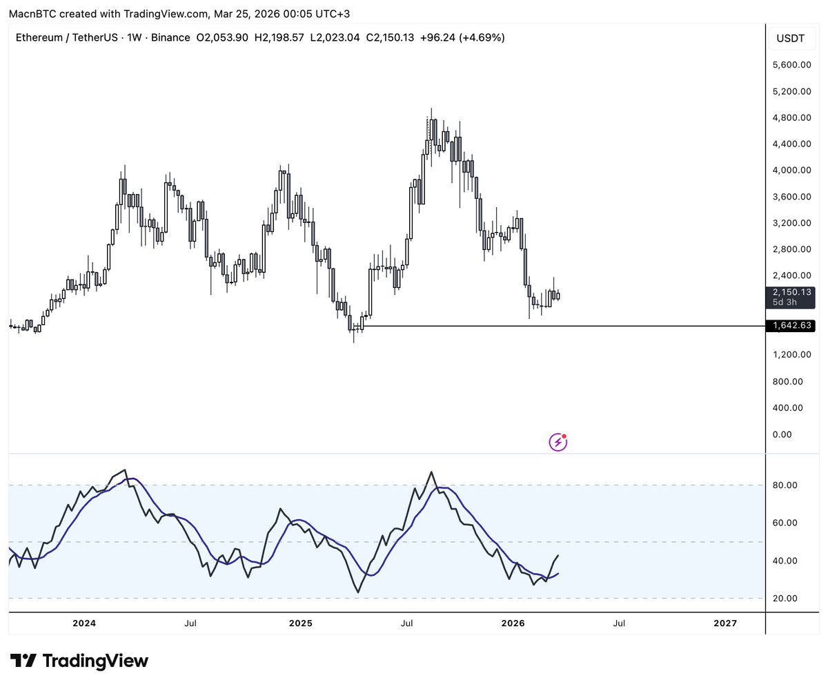 Mac 🐺 tweet media