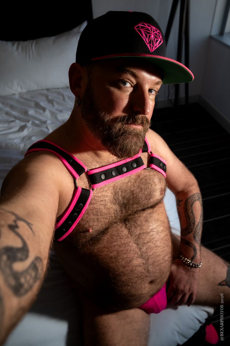 Bear Photography 🔥 🐻 tweet media