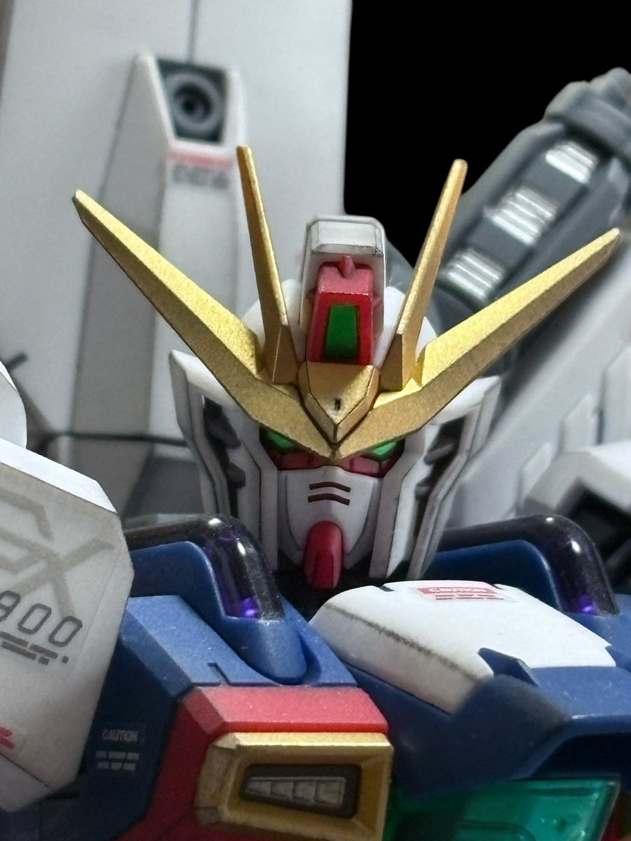 ワカバ（現在体調不良中🙇🏻‍♂️） tweet media