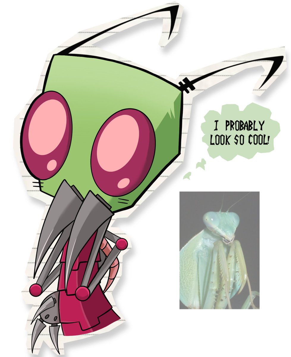 008 👾 tweet media