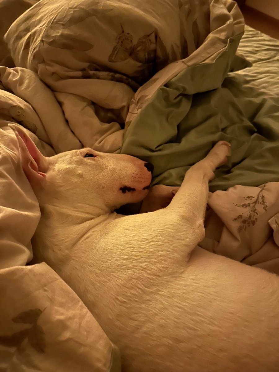 𝐊𝐚𝐭𝐞.𝐠𝐨𝐫𝐢𝐜𝐡 tweet media