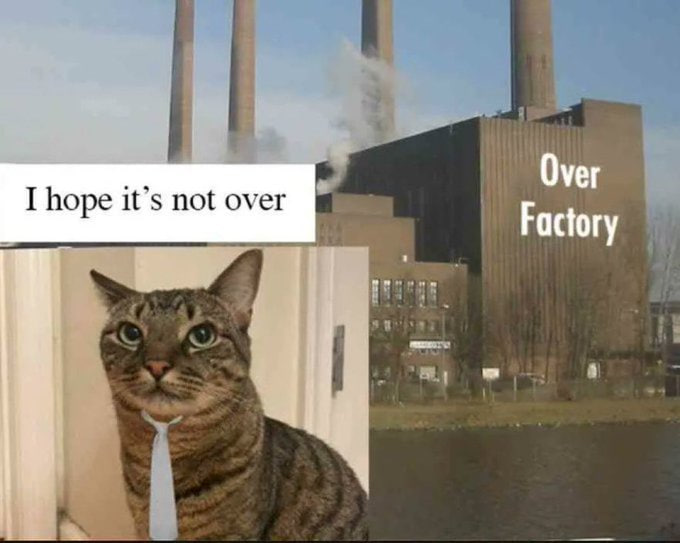 ana 🇺🇦 tweet media