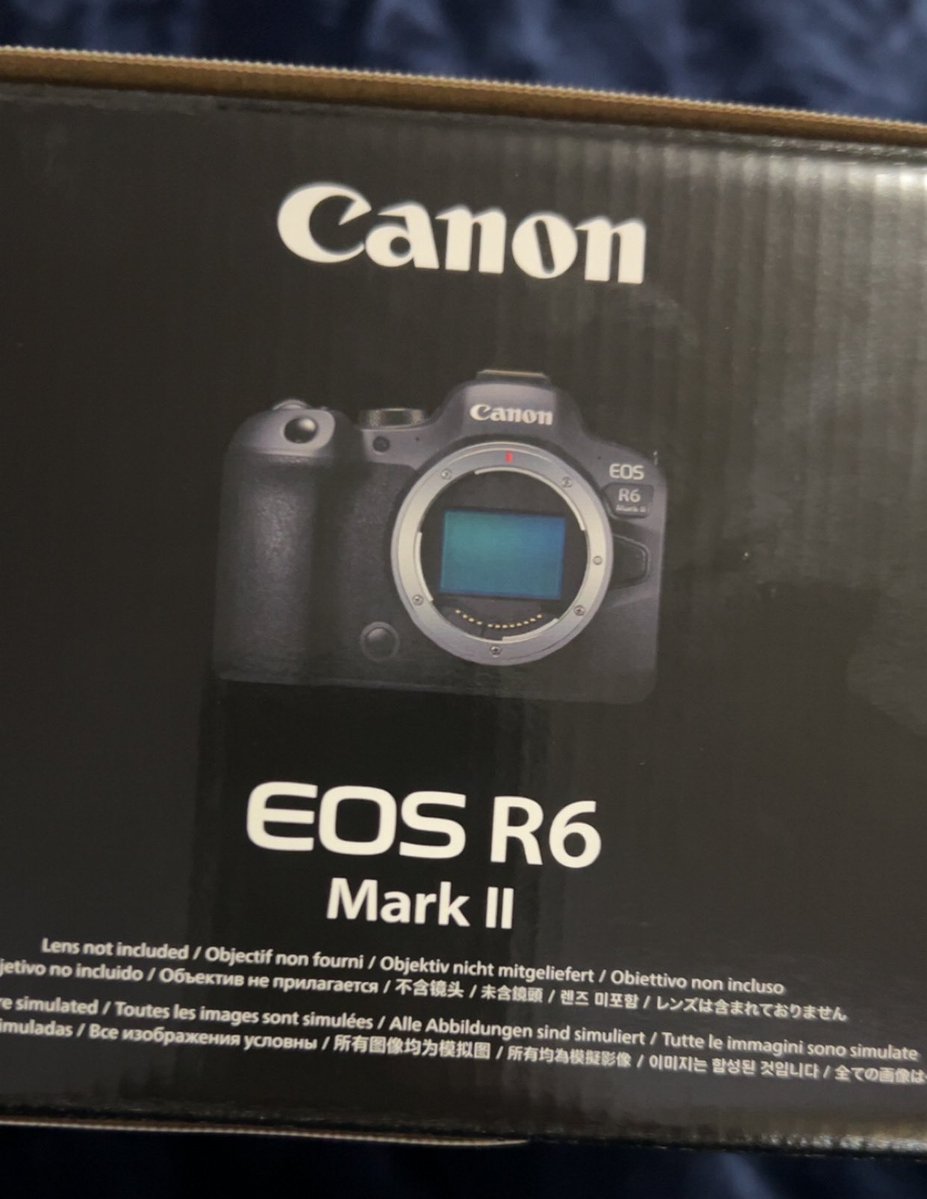 Angela🫎🐿️ tweet media