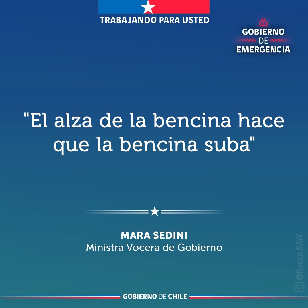 🖼️MUSEO TUITERO tweet media