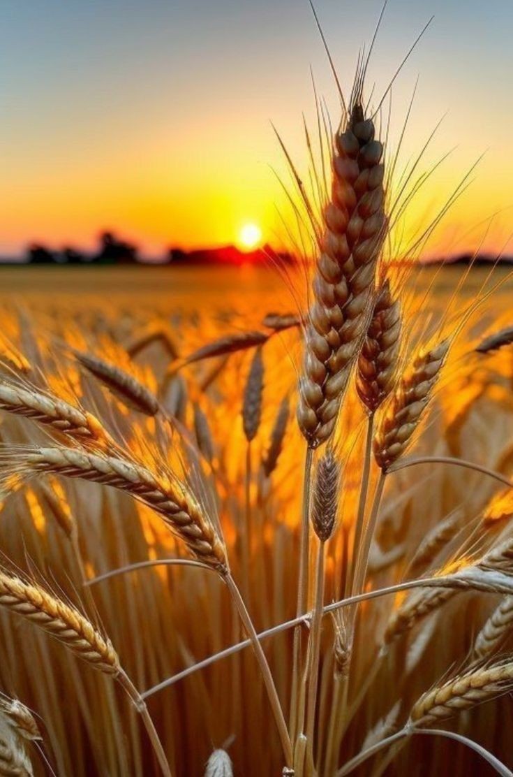 Вукашин Танасијевић ☦️ tweet media