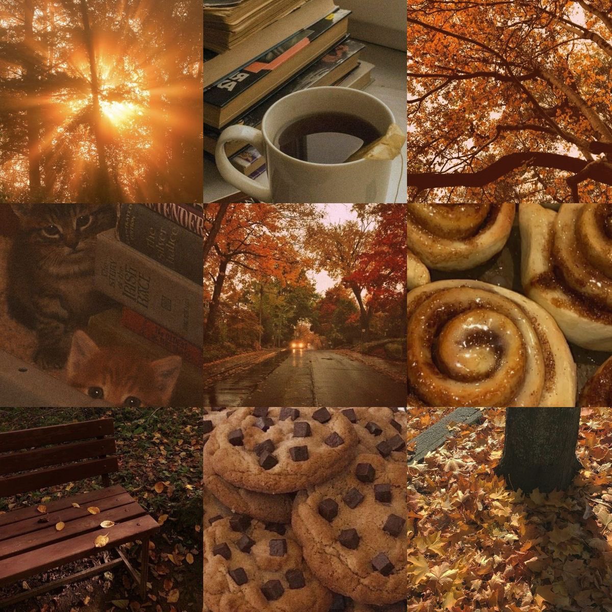 ✿ Luna.SP ☮︎ tweet media