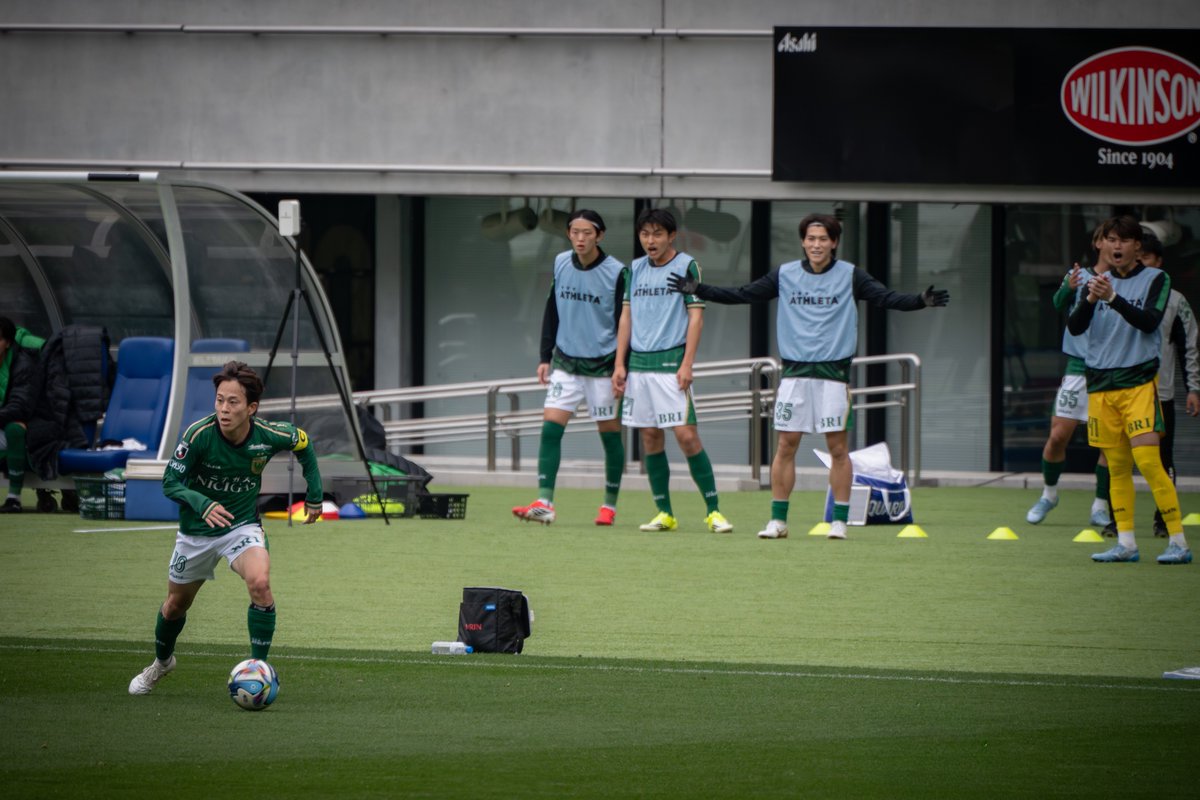 ぴよじ。 tweet media