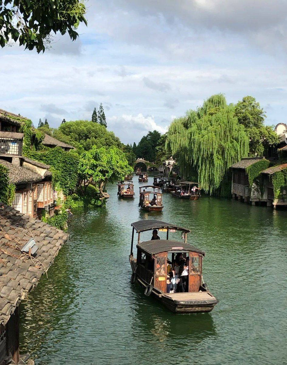 Priya Pandey tweet media