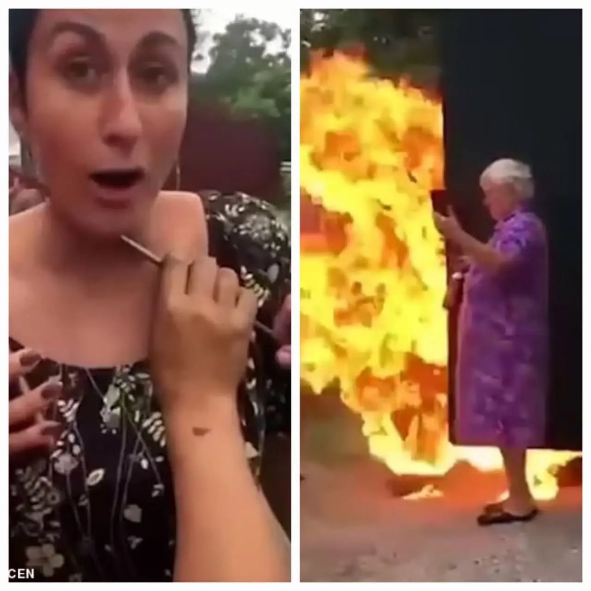 дідько лисий😈 tweet media