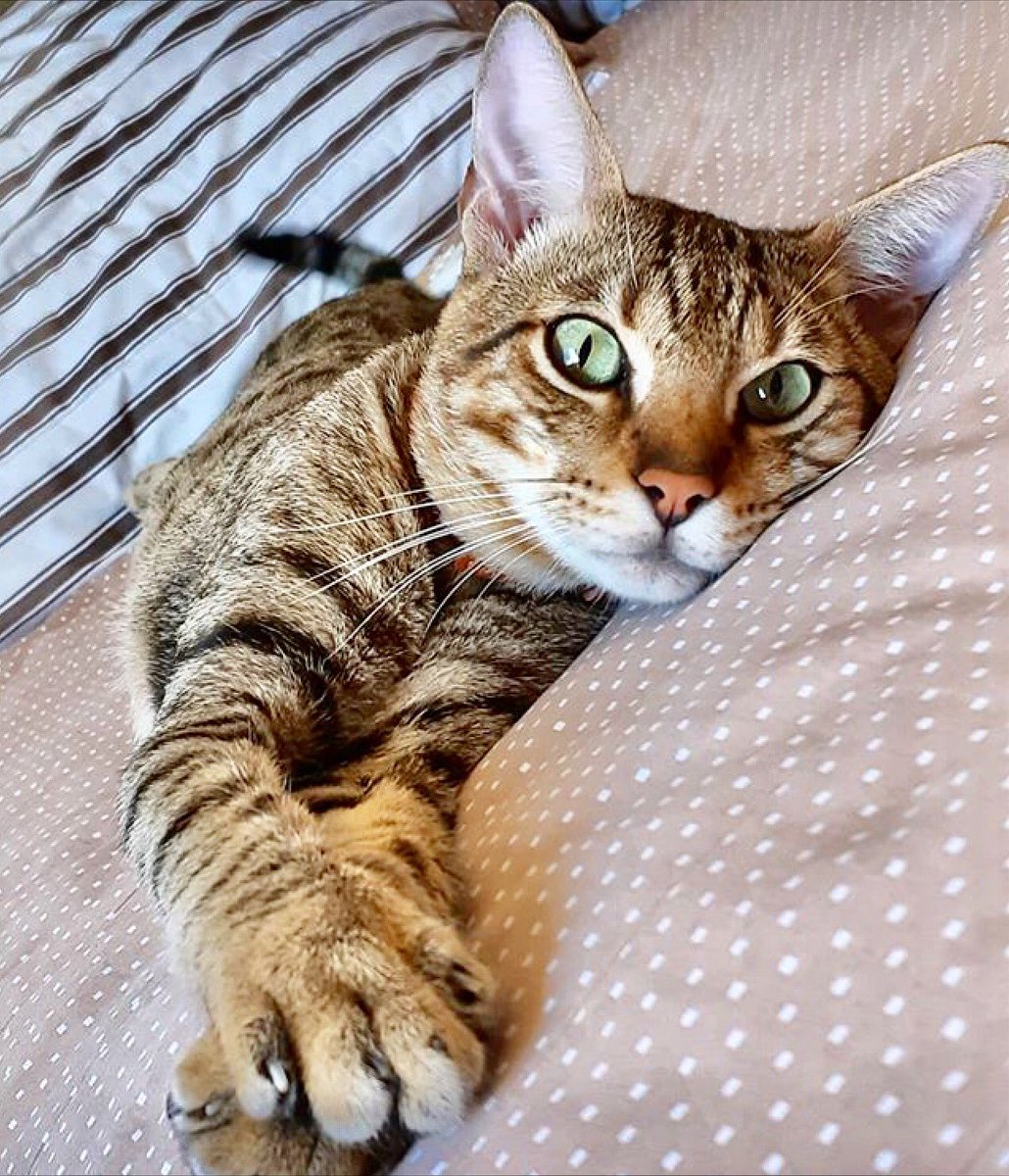 Stéphane Lefebvre - Slartzone production tweet media