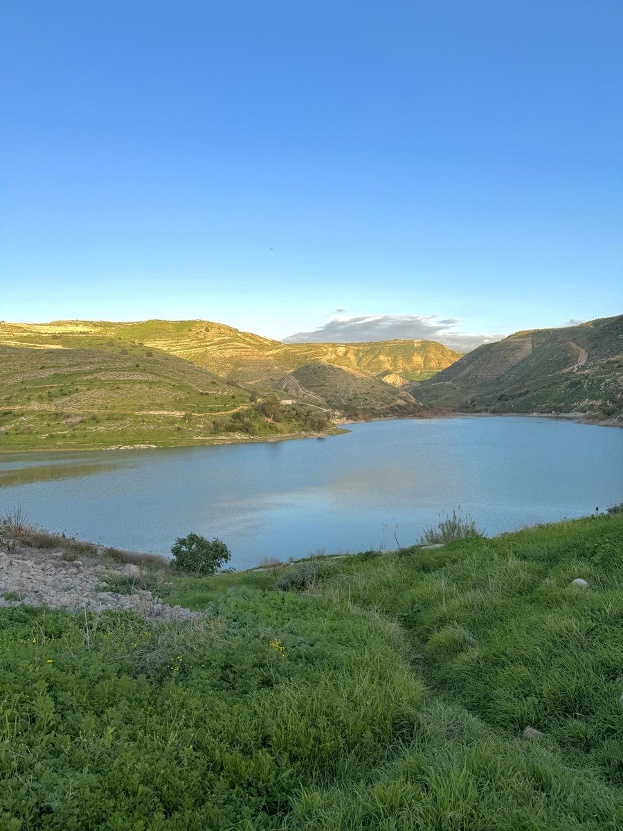 Ala Hamdan • الاء حمدان tweet media