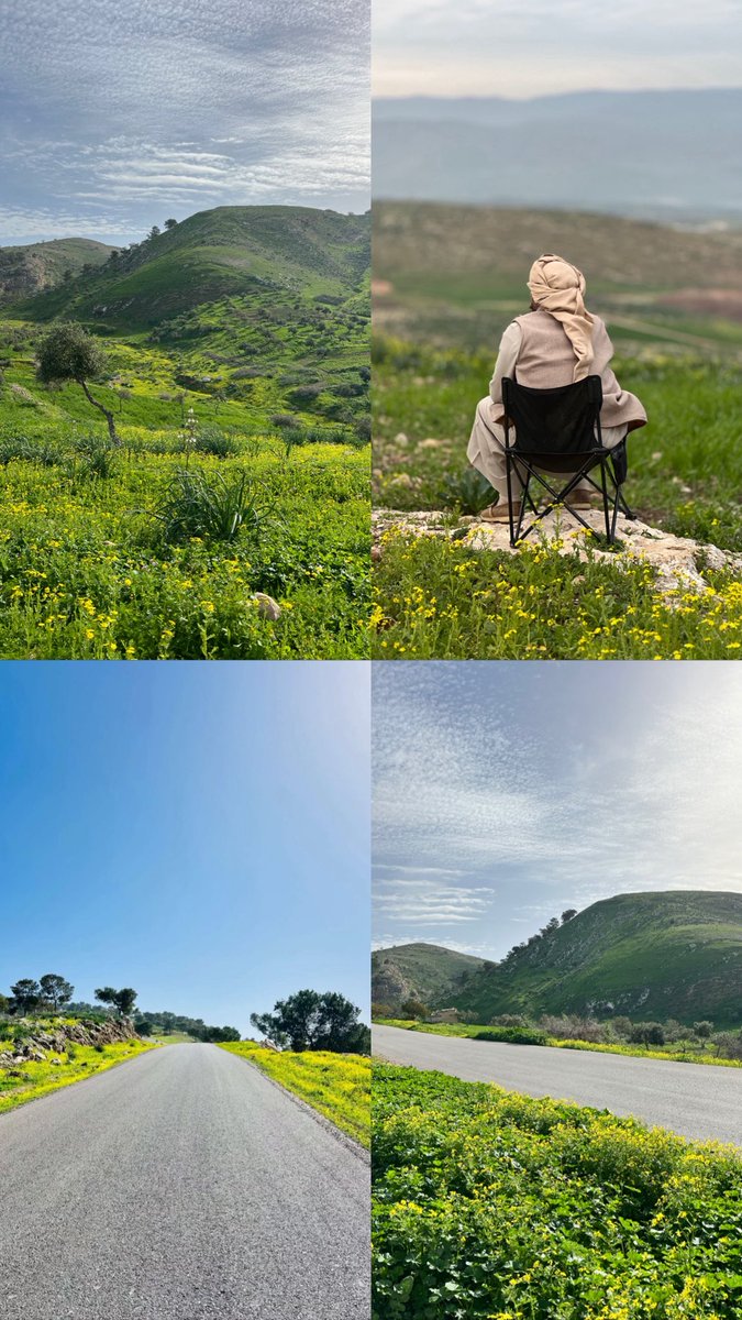 Ala Hamdan • الاء حمدان tweet media