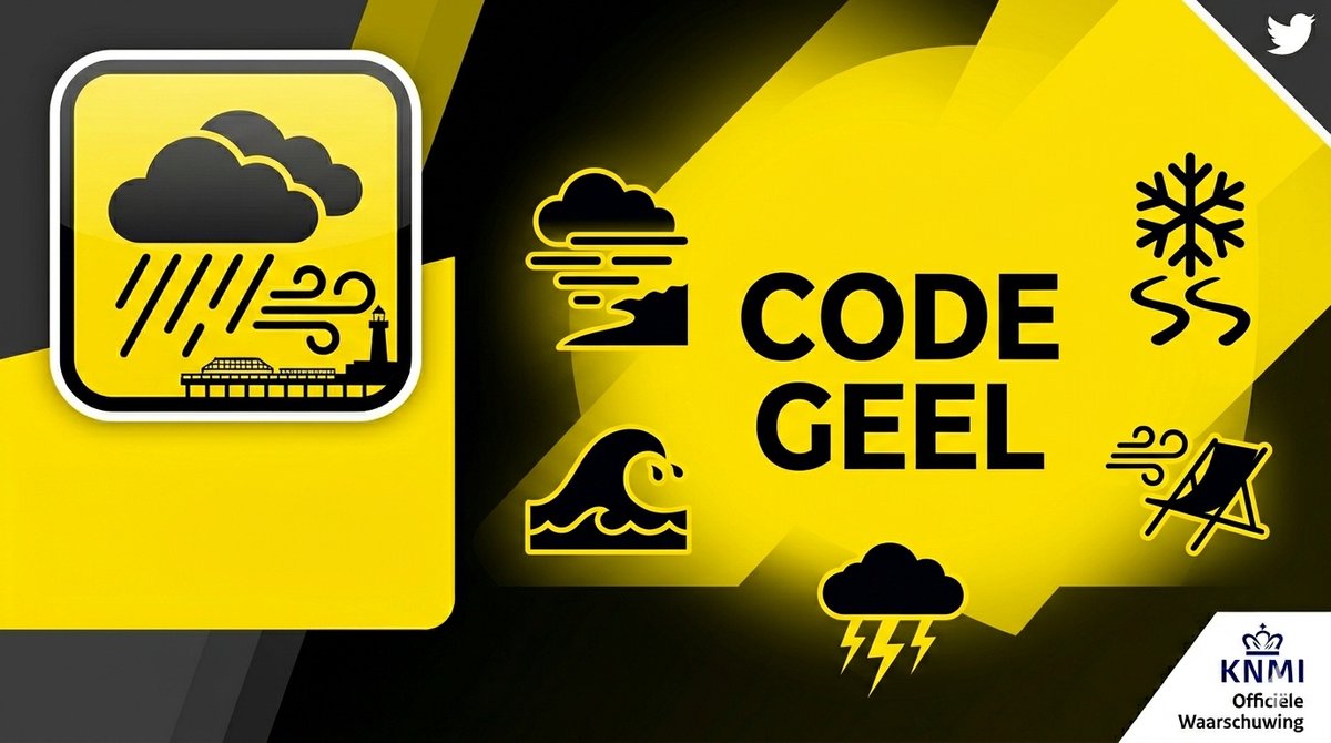 Scheveningen Daily tweet media