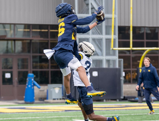 TJ Ronin tweet media