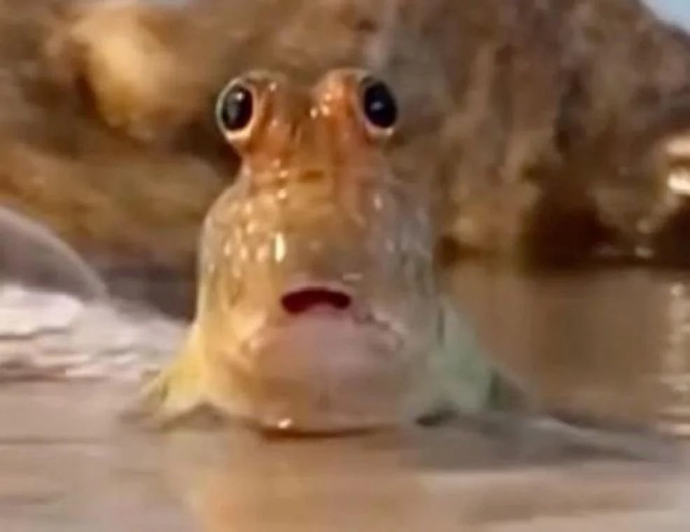 HOPEFUL julia on rest ✷ EXO IS 9 ! ☾ tweet media