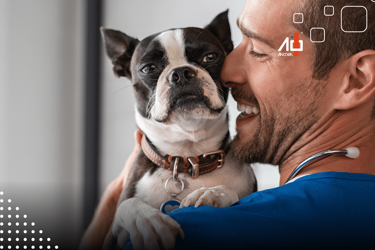 ancora1oficial's tweet image. Março Amarelo Pet alerta para risco silencioso nos rins dos pets. Campanha de março reforça importância de exames regulares e identificação precoce em cães e gatos...

Confira: ancora1.com/noticias/maro-…

#Ancora1 #Notícias #Assis #Veterinária #DoençaRenal #Exames #MarçoAmareloPet