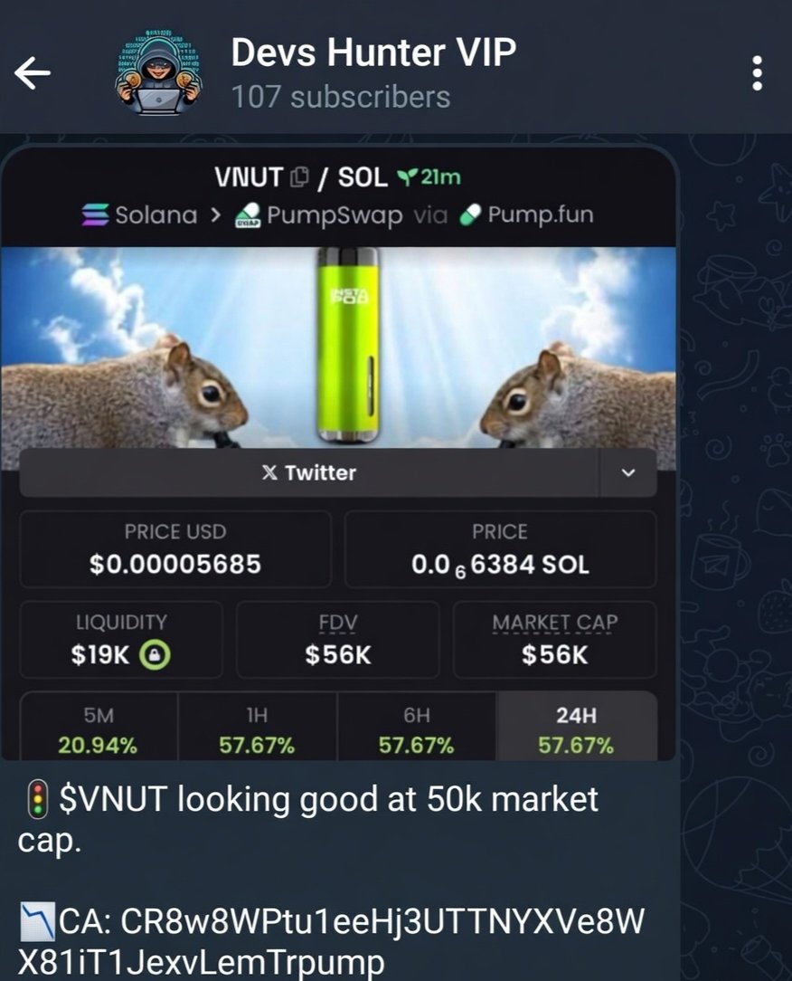 Devs Hunter tweet media