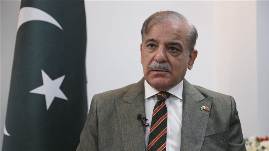 NEWS 365 tweet media