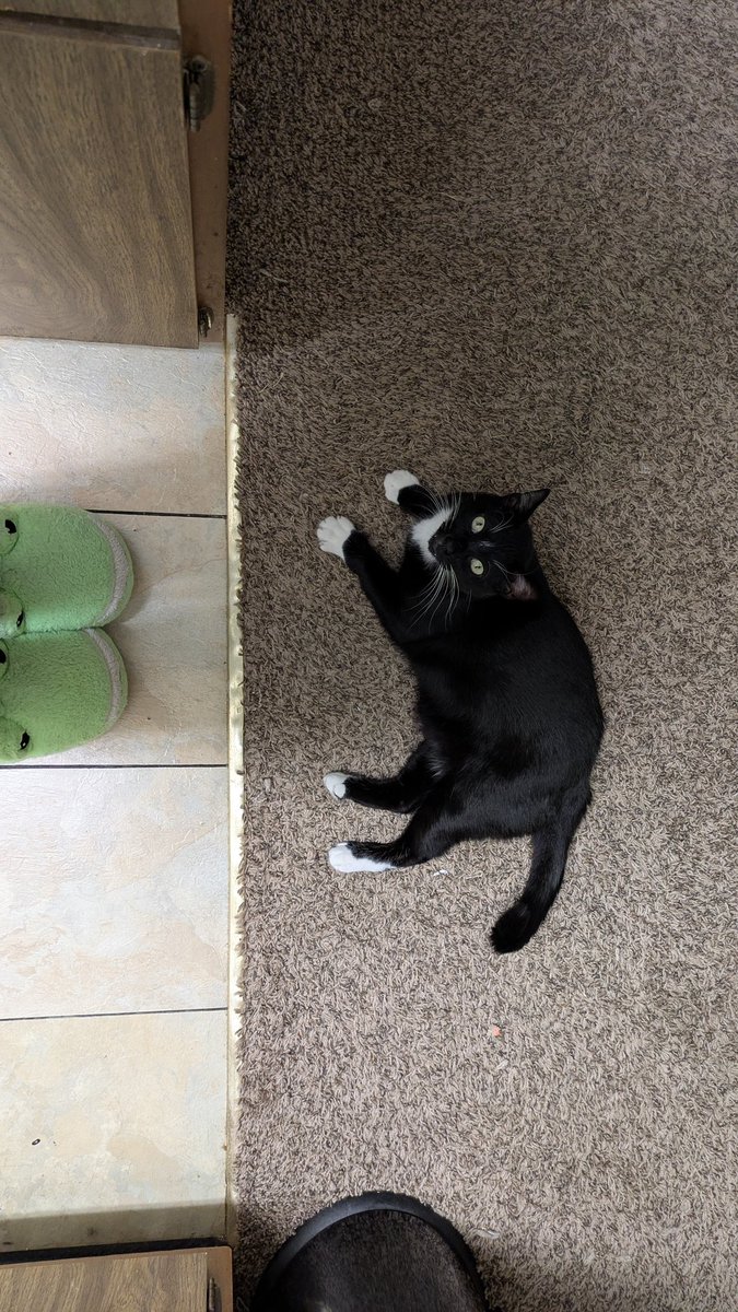 brownie wayne tweet media