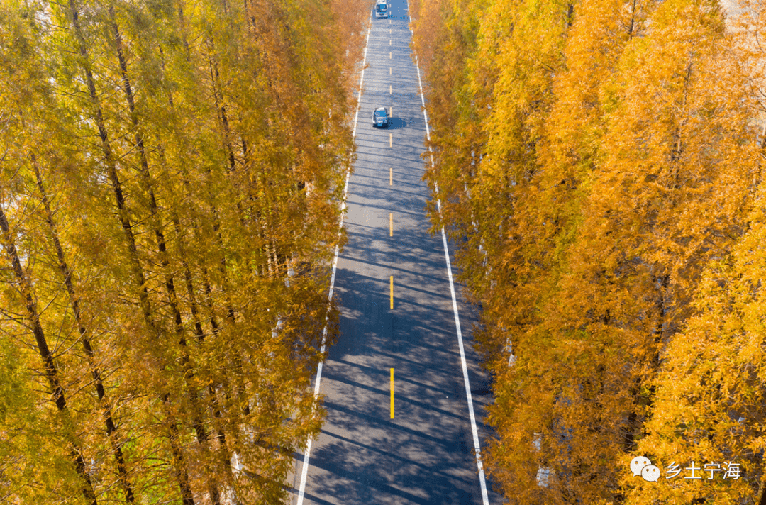 Murat † tweet media