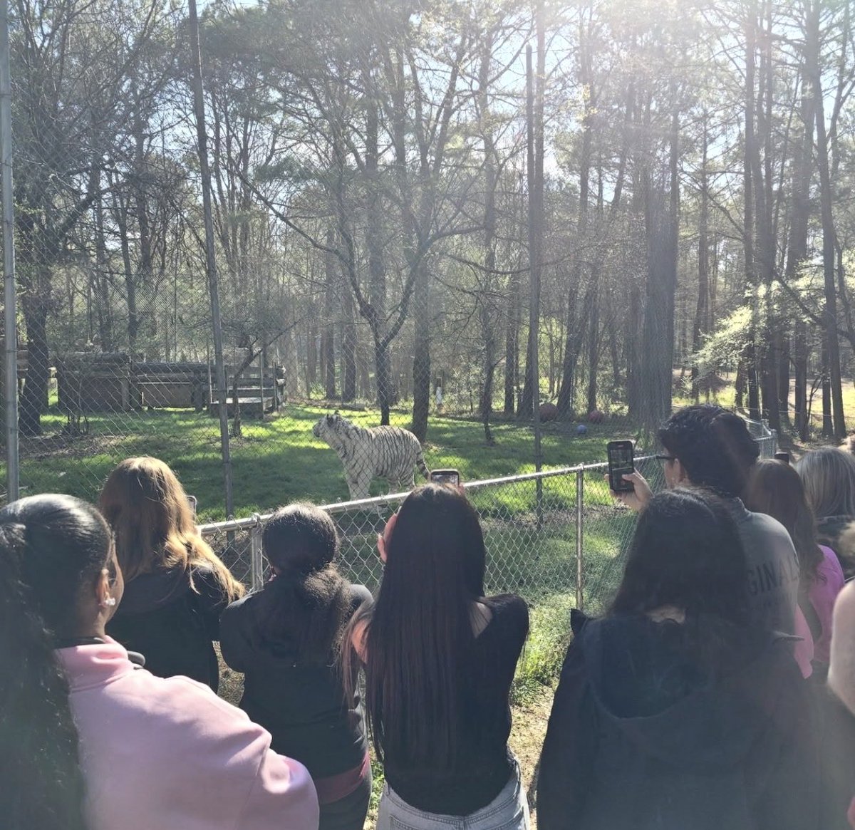 Hunt FFA members/animal science students traveled to the Carolina Tiger Rescue last week.