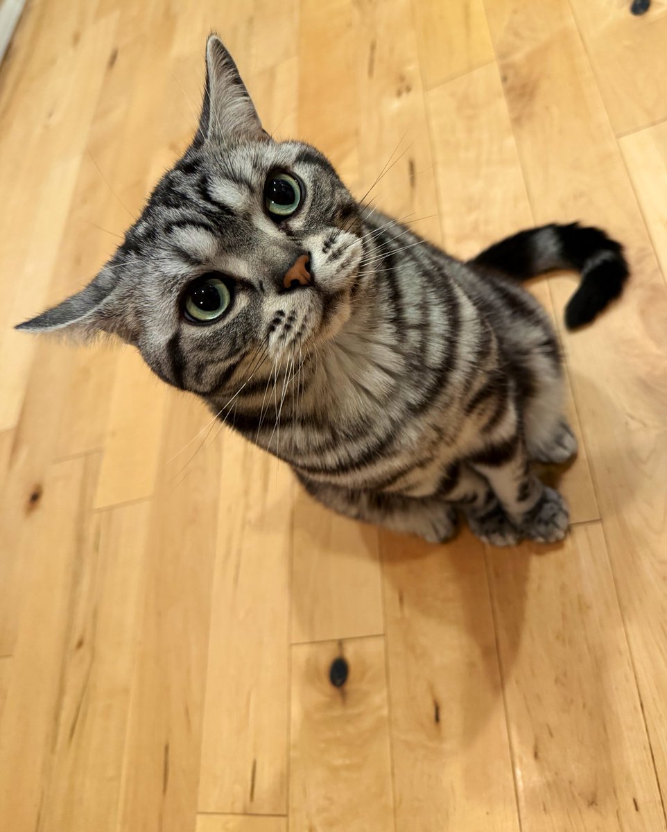 Just a silly little guy