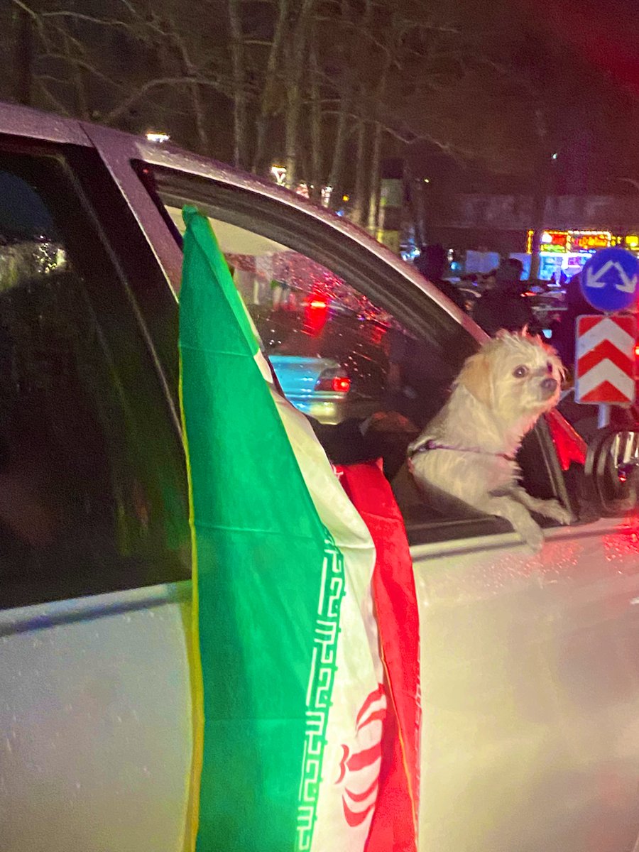 Ⓜ️ سید هانی هاشمی|Hani Hashami🚩 tweet media